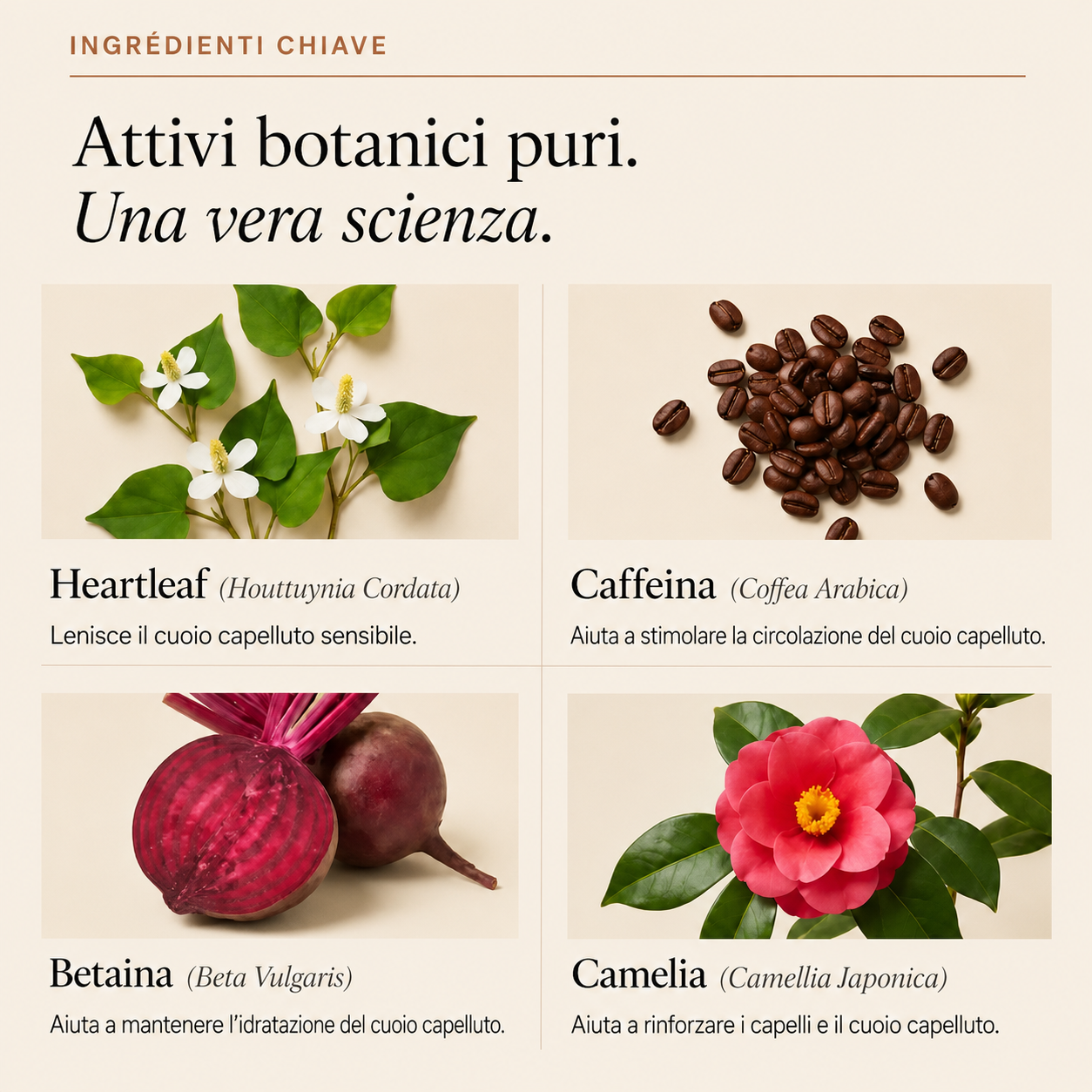 Siero Coreano Ricrescita Capelli Donna con Applicatore Massaggiante